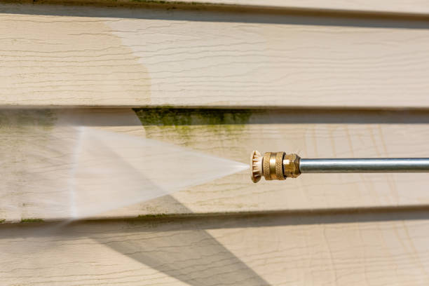 Best Fence Pressure Washing  in Rossville, IN