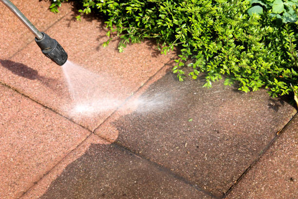 Best Exterior Home Cleaning  in Rossville, IN